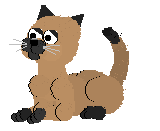 A brown and black kitty from the Petz games series licking its paws.