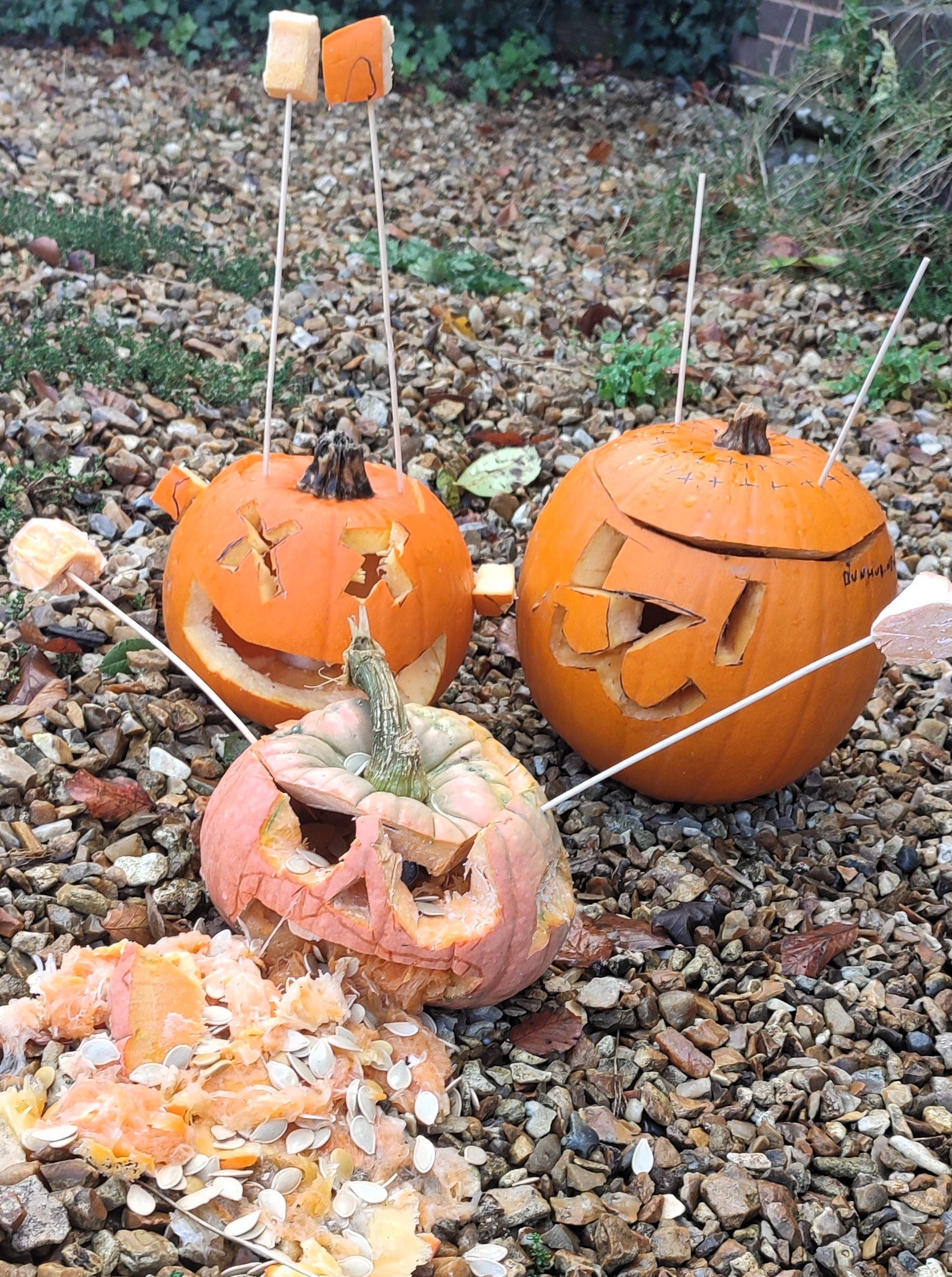 My daughters' trio of pumpkins. Two of them are distinctly alien-esque with kebab skewers rammed through their poor orange skulls, and one of them is yukking up its own innards.